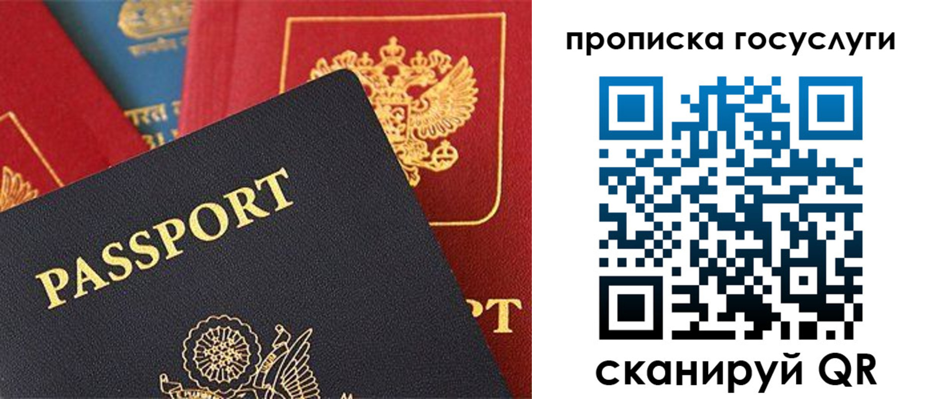 где прописаться в Дятьково